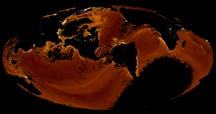 World map projections